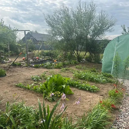 Dom Na Szumiacych Drzew Semesterbostad