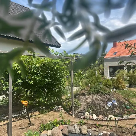 Dom Na Szumiacych Drzew Semesterbostad *