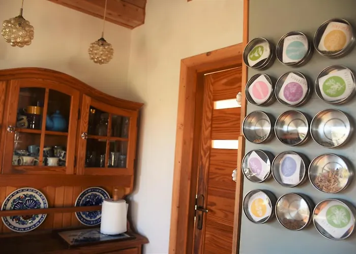 Dom Na Szumiacych Drzew Dom wakacyjny