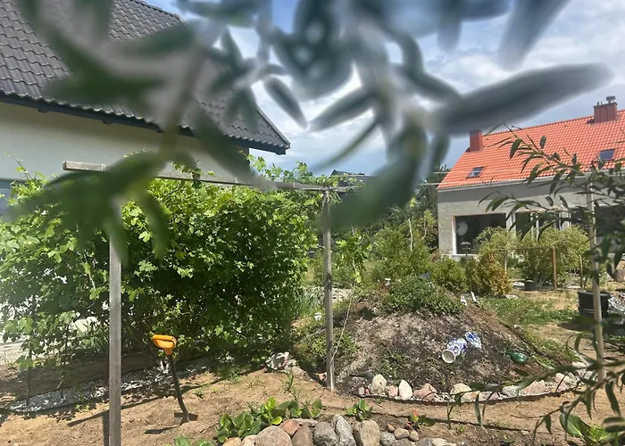 Dom Na Szumiacych Drzew Semesterbostad *